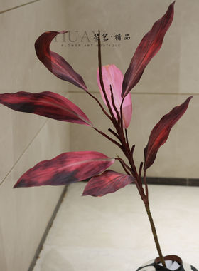 彩叶植物仿真绿植水蕉株蕉拍照道具紫竹叶鸿运竹装饰片巴西木铁叶
