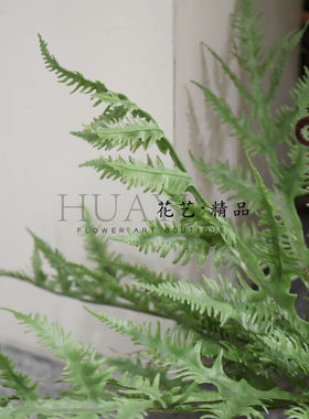 大卷蕨叶蕨草鱼缸爬宠仿真植物波斯草狼尾蕨波士顿草美陈布置装饰