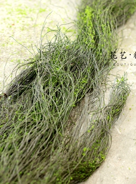 苔藓藤丝仿真藤蔓树藤枯藤青苔藤条软藤可随意造型花艺素材造景