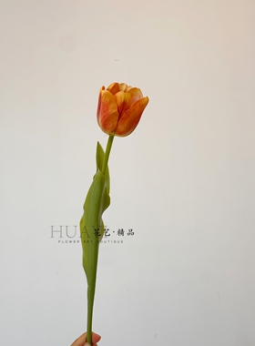 仿真郁金香花家居装饰拍照背景手捧花插花洋桔梗花艺摆件