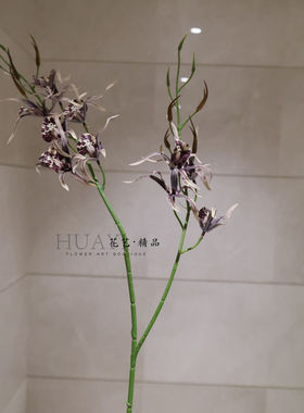仿真兰花枝条紫色白色家居装饰插花假花千鸟兰惠兰石斛花桌面花艺