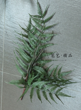 仿真蕨类植物盆栽室内装饰绿植家居摆件园林景观橱窗造景