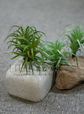 仿真空气草老人须拍摄道具微景观爬宠植物绿植美陈装饰多肉