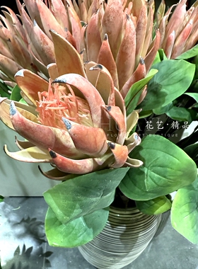 花艺精品仿真花帝王花单只