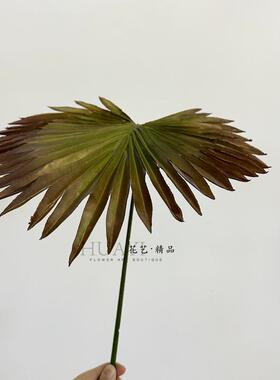 仿真单支大葵叶棕榈叶子