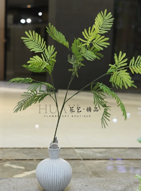 定制假树材料树枝轻盈飘逸枝条仿真金合欢花叶蓝花楹兰花楹树绿叶