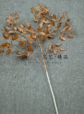 枯枝树枝仿真荆棘叶枝条装饰摆件室内家居文艺精品假花