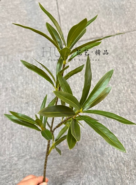 仿真橄榄枝插花装饰绿植家居客厅桌面美陈植物夹竹桃叶罗汉松枝条