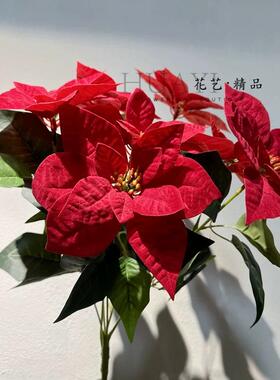仿真一品红圣诞红鸭舌红掌