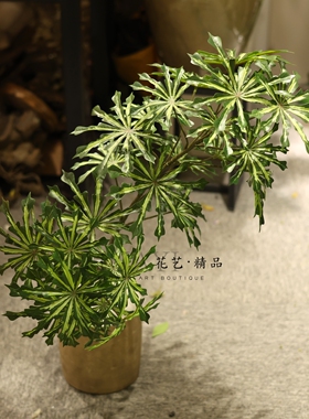高品质鸭掌木仿真绿植室内装饰摆件简约风造型热带大叶植物造景