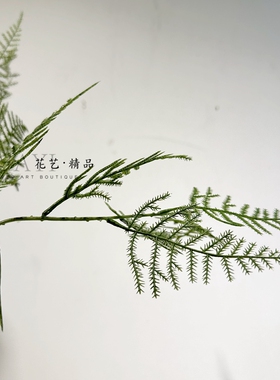 仿真植物文竹日式样板间单支