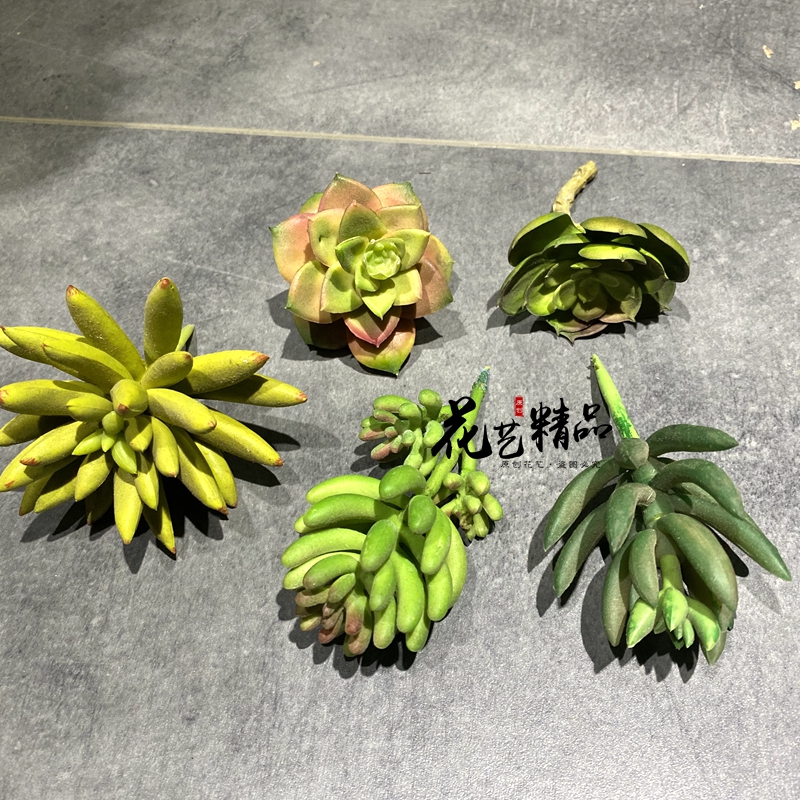 仿真多肉植物直播间造景绿化露营风装饰品绿植沙漠玫瑰枯山水苔藓-图3