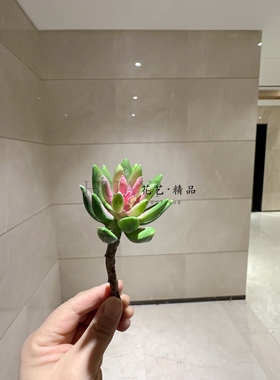 红色宝莲花仿真芦荟佛手花仿真多肉植物微景观枯山水造景爬宠缸