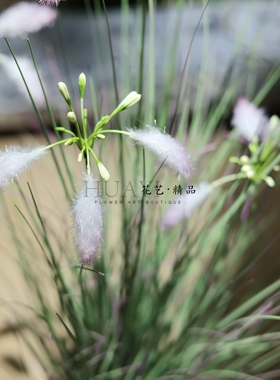 花艺精品 仿真绿植盆栽装饰花丛菖蒲芦苇花水草花箱插花餐厅装饰