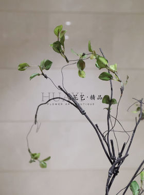 新中式仿真枝叶装饰摆件室内家居高级感绿植假花艺绿叶树枝山归来