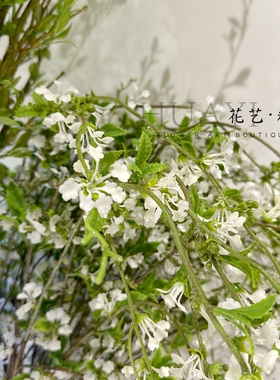 花艺精品仿真花雪柳单只