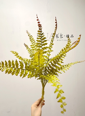 仿真蕨类植物叶子北欧风室内装饰波斯草波士顿蕨肾蕨狼尾草