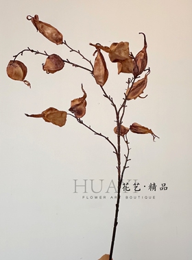 果枝条枯枝美拉德色系仿真小船果酒瓶果火焰豆枝条飘逸美陈道具