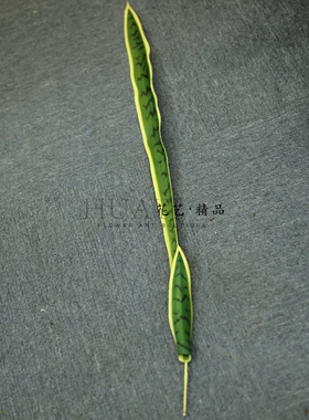 仿真虎皮兰叶子绿植装饰摆件家居客厅地被造景假花