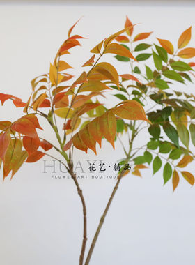 红叶秋叶手感保湿室内摆件仿真绿植插花叶材槭树枝叶植物花卉
