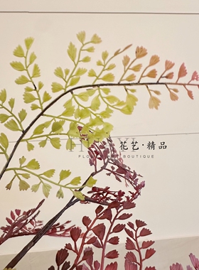 香芹草渐变复古红色仿真蕨类植物枝条绿植摆件拍摄道具现代简约