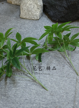 园林景观招财树仿真植物发财树花箱造景拍照道具爬宠缸绿植