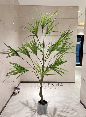 仿真龙血树盆栽室内客厅装饰绿植假树定制剑麻一帆风顺多肉