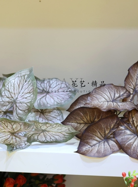 手感保湿彩芋叶造景摆件淡雅彩叶精致热带植物仿真绿植花箱插花