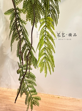 悬挂植物垂感蓝花楹叶子吊兰仿真绿植墙面绿化芒萁蕨凤尾葵叶水草