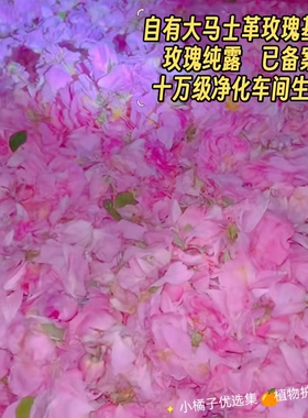 大马士革玫瑰纯露玫瑰花水补水保湿爽肤水湿敷补水喷雾植物天然
