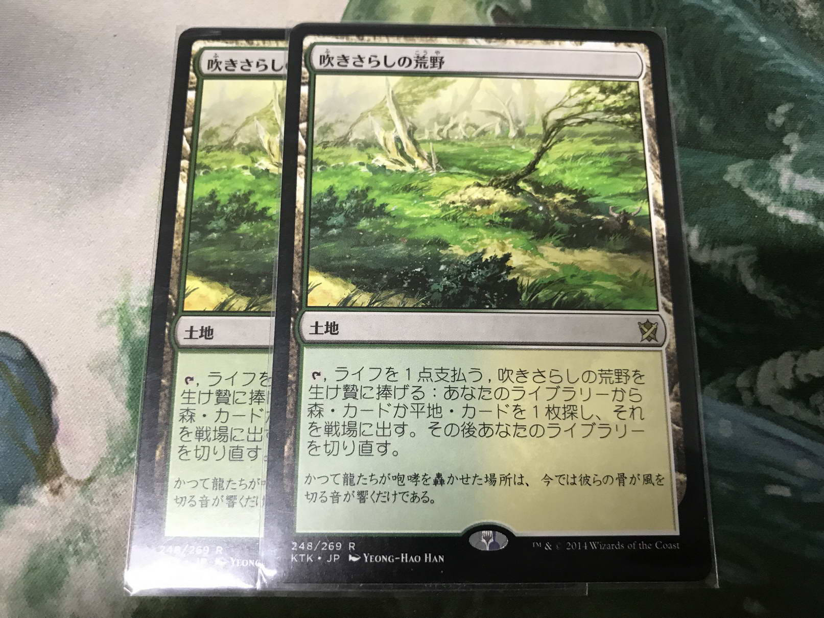MTG 吹きさらしの荒野 中国語 風襲荒地 | www.psychologiesport.fr