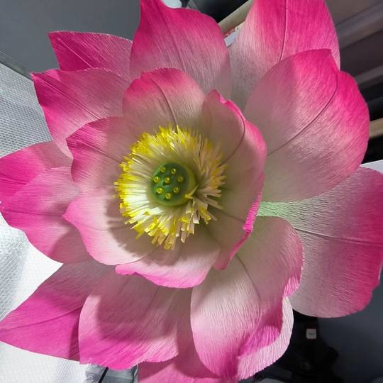 Новый лотос из бумаги, цветок, крепированная бумага, полуфабрикаты, лепестки, ручная работа, имитация лотоса, декоративный фон, макет