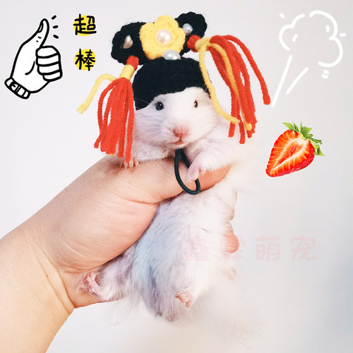 金丝熊活物长毛仓鼠活体纯银巨型疫苗宠物宝宝幼崽波利卷毛金丝鼠 - 图1