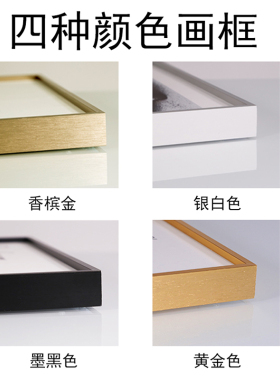 铝合金相框钻石画十字绣欧式现代简约金属定制镜框定做带有机玻璃