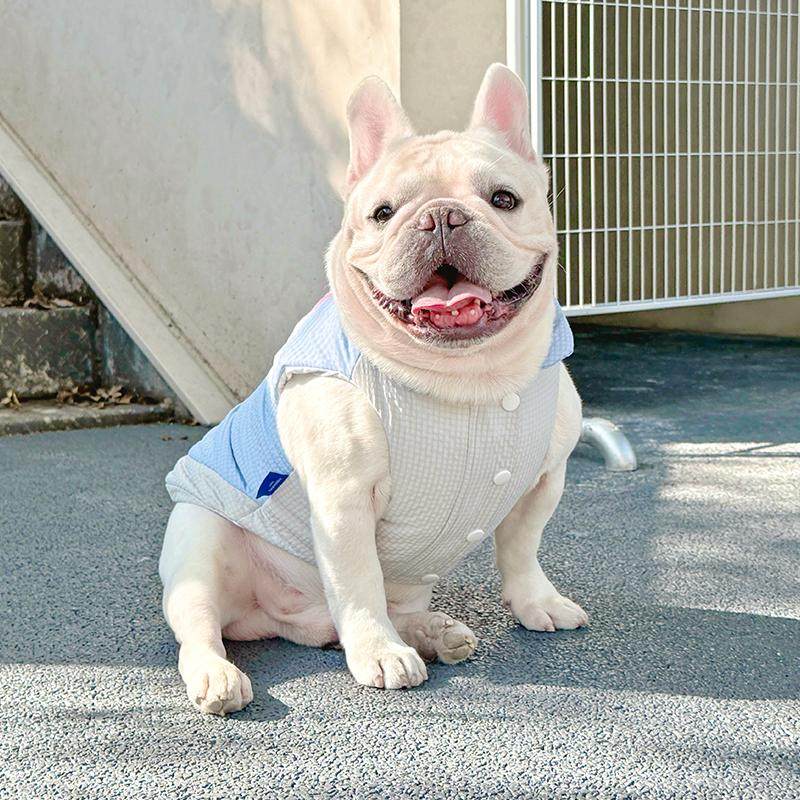 冬季新款法斗衣服巴哥斗牛犬加厚马甲比熊雪纳瑞棉服棉衣保暖外套,淘宝优惠券,粉丝福利购,淘宝优惠卷