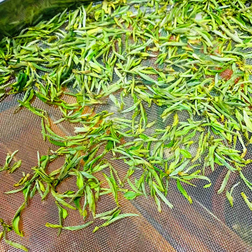 2026新茶叶明前安徽特级舒城小兰花翠兰绿茶春茶手工散装绿茶礼品 - 图2