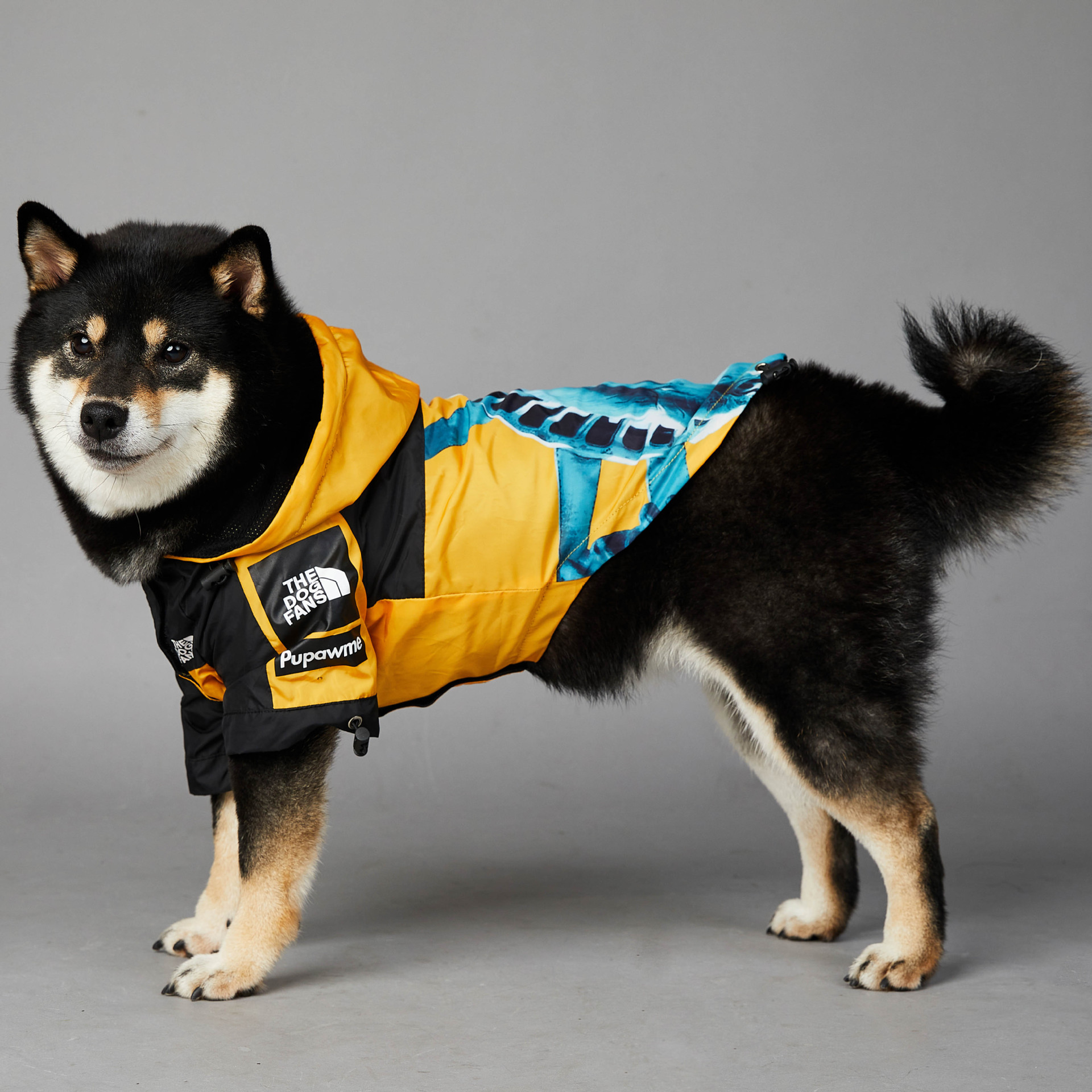 中大型犬雨衣防风防雨新款狗狗防水冲锋衣哈士奇金毛边牧雨衣-图3