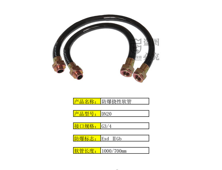 防爆DS-1677ZJ-XS-1.0软管穿线挠性连接摄像机DN20 6分管 G3/4 - 图0