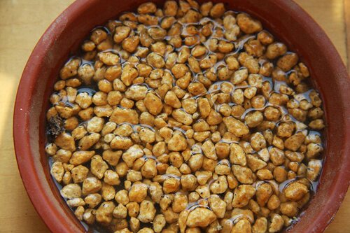 进口鹿沼土小粒3-6多肉、铺面、水培 酸性植物栀子蓝莓桂花茉莉 - 图1
