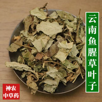 Yunnan Chinese herbal medicine Heartleaf Houti Leaf 500g Plateau Farmhouse Ecological Chinese Herbal Medicine Daily Bubble Water Drink Natural no sulphur