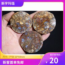 Farsnail Agate Round of Snail Fossils to True to Pure Ornament Pendant