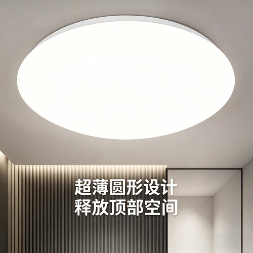 全白LED家用吸顶灯圆形卧室灯现代简约客厅灯阳台厨卫灯饰灯具 - 图0