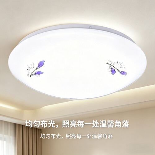 全白LED家用吸顶灯圆形卧室灯现代简约客厅灯阳台厨卫灯饰灯具 - 图1