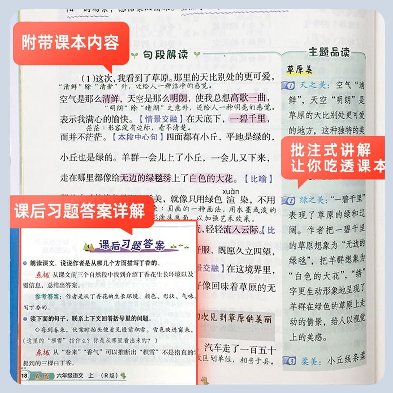 2024春新版小学点拨一二三四五六年级上册下册语文数学英语全套部编人教版北师大外研版荣德基教材全解课本解读同步训练点播典中点 - 图0