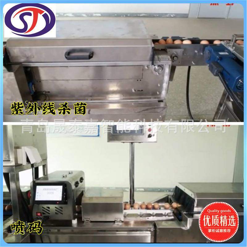 鸡蛋分级机 晟泰嘉选蛋机器 裂纹蛋视觉检测 孵化场鸡蛋选蛋机,淘宝优惠券,粉丝福利购,淘宝优惠卷