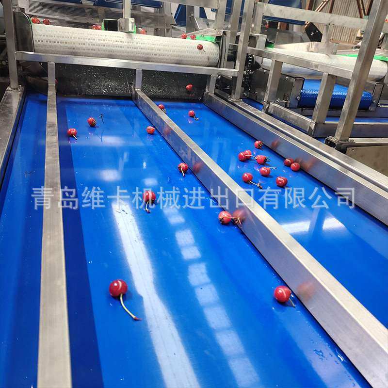 大型樱桃车厘子预冷清洗分拣流水线 分级精确 预冷处理 产能大,淘宝优惠券,粉丝福利购,淘宝优惠卷