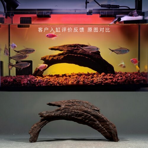 ada 二马沉木30cm内迷你小鱼缸造景 适合小米鱼缸沉木造景 沉木 - 图1