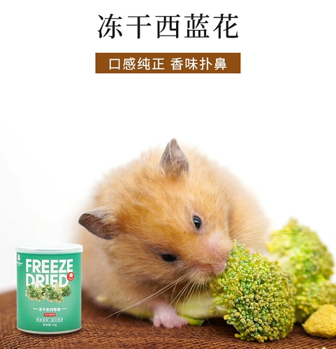 Мугуанский лес замороженные и сухой испытательный кролик Тоторо Тоторо, Дорч, Медовые мешки, белки из сосны Мацуса и овощные закуски