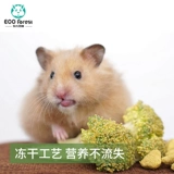 Мугуанский лес замороженные и сухой испытательный кролик Тоторо Тоторо, Дорч, Медовые мешки, белки из сосны Мацуса и овощные закуски