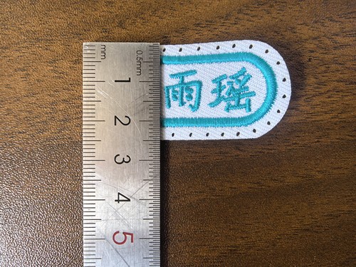 名字贴刺绣带缝孔可选颜色幼儿园姓名贴可缝布贴中小学生衣服标签 - 图3